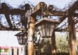 From Open Backyard to Outdoor Room: What Pergolas Actually Deliver