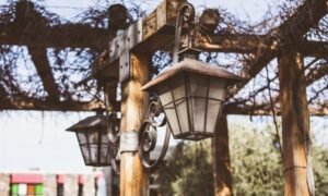 From Open Backyard to Outdoor Room: What Pergolas Actually Deliver